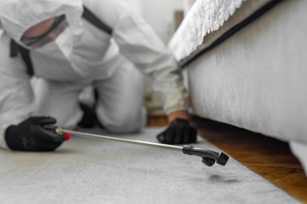 Professional Termite Control technician working in Pueblo County County, CO